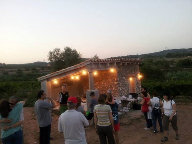  在日落时享受葡萄酒 